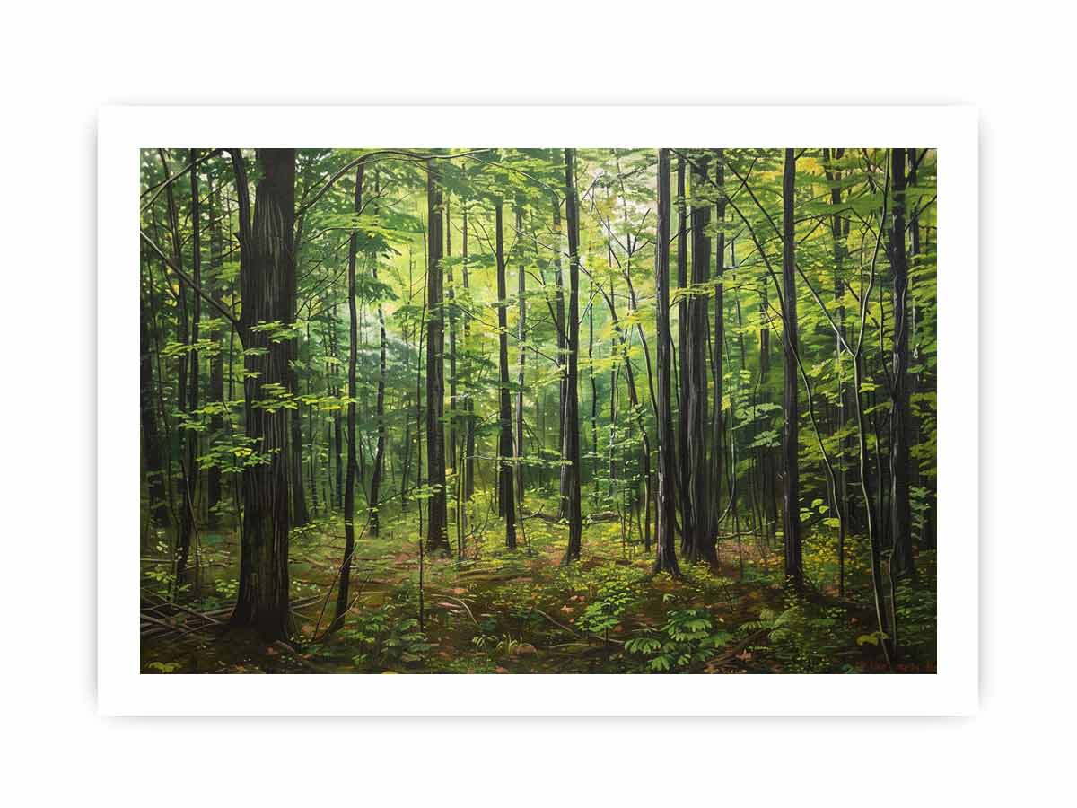 Hardwood Forest Canvas Painting